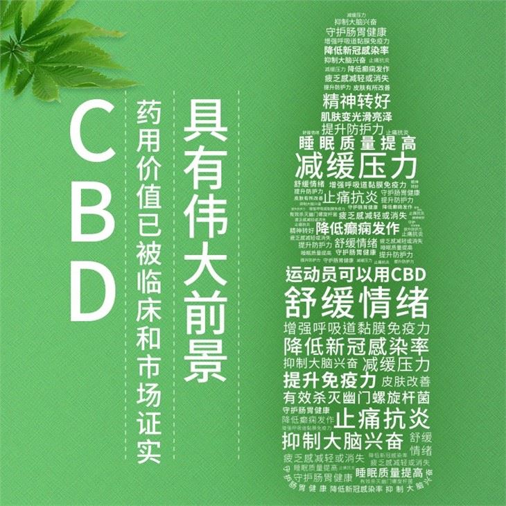 Cbd Oil Oral 99.96% Ingredient 1000mg